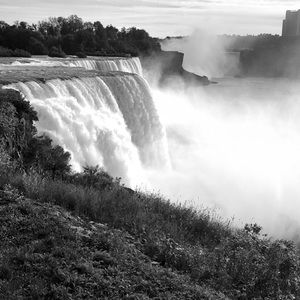 Meet your Posher, Nicky